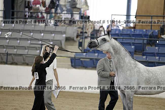 Proof Number 11r14_2666