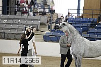 11r14_2666 thumbnail