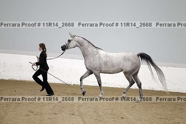Proof Number 11r14_2668