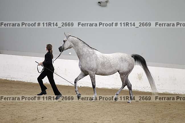 Proof Number 11r14_2669