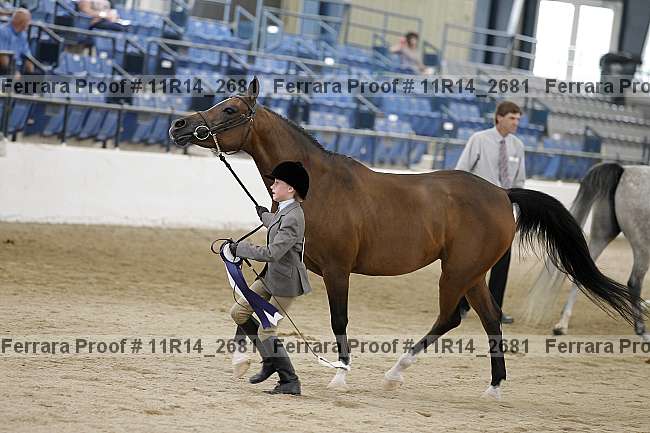 Proof Number 11r14_2681
