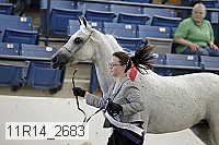 11r14_2683 thumbnail
