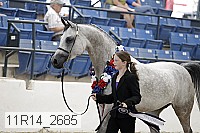 11r14_2685 thumbnail