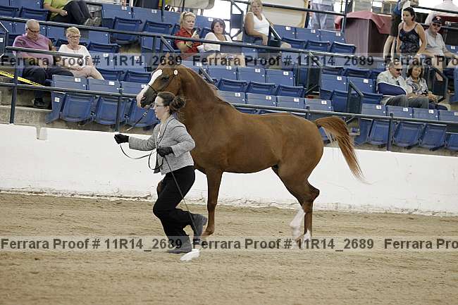Proof Number 11r14_2689