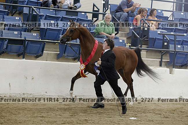 Proof Number 11r14_2727