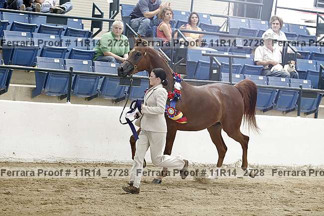 Proof Number 11r14_2728