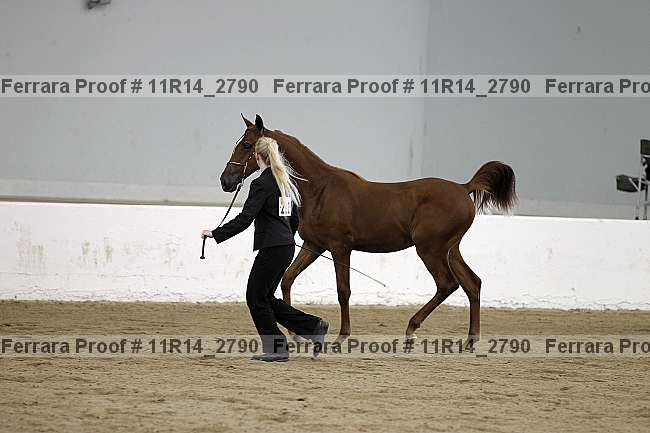 Proof Number 11r14_2790