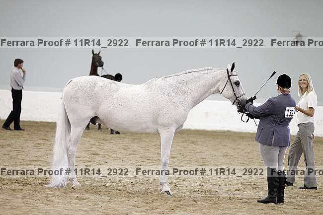 Proof Number 11r14_2922