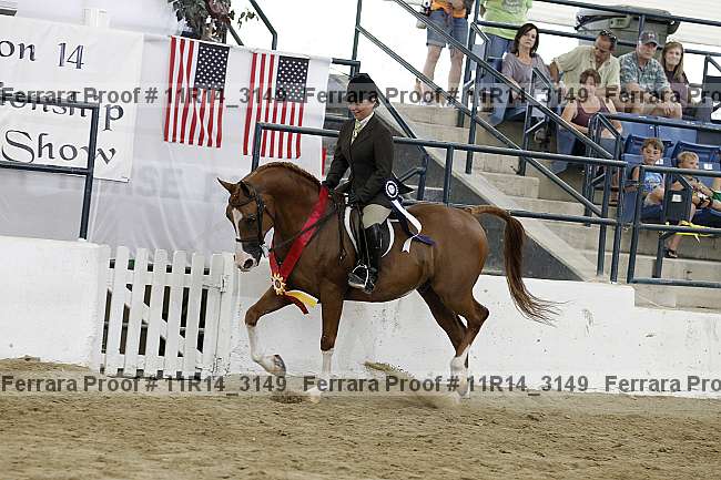 Proof Number 11r14_3149