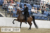 11r14_3181 thumbnail