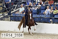 11r14_3184 thumbnail
