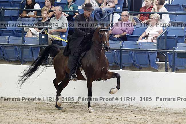 Proof Number 11r14_3185