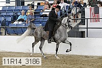 11r14_3186 thumbnail