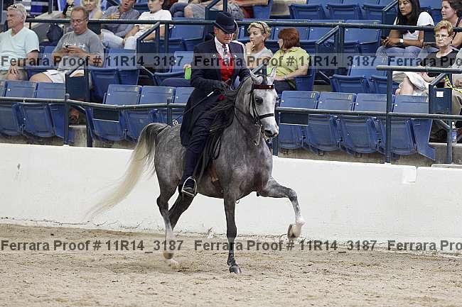 Proof Number 11r14_3187
