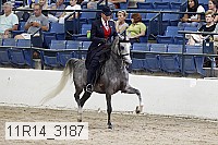11r14_3187 thumbnail