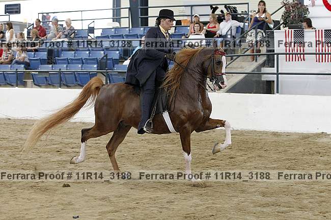 Proof Number 11r14_3188