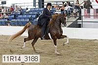 11r14_3188 thumbnail