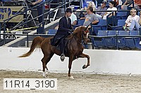 11r14_3190 thumbnail