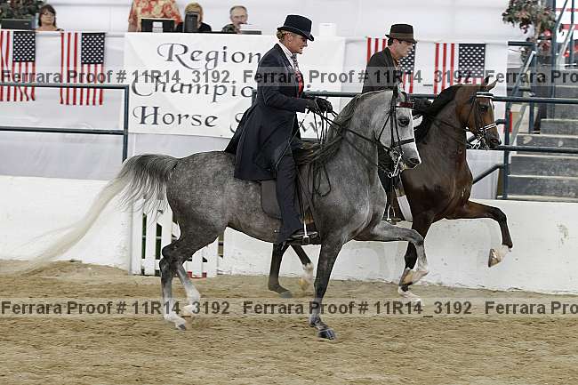 Proof Number 11r14_3192