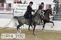 11r14_3192 thumbnail