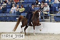 11r14_3194 thumbnail
