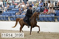 11r14_3195 thumbnail