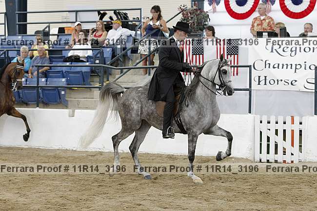 Proof Number 11r14_3196