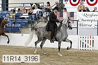 11r14_3196 thumbnail