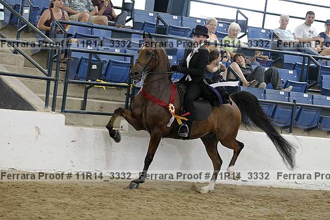 Proof Number 11r14_3332