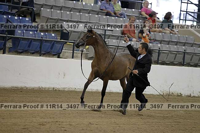 Proof Number 11r14_3497