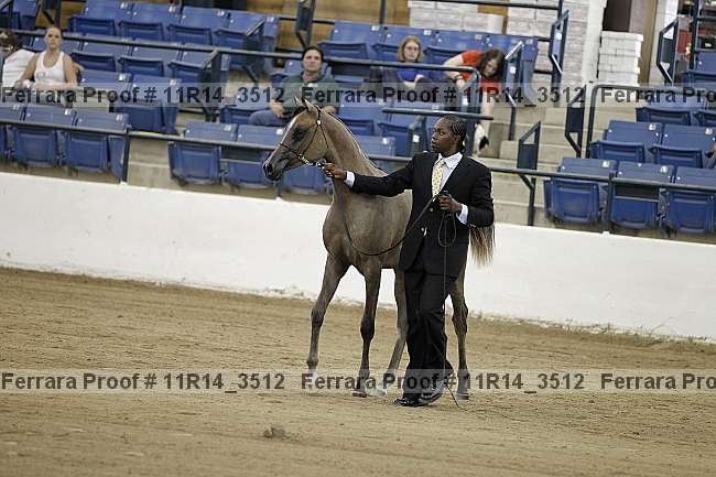 Proof Number 11r14_3512