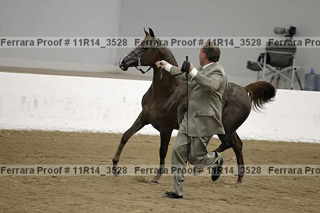 Proof Number 11r14_3528