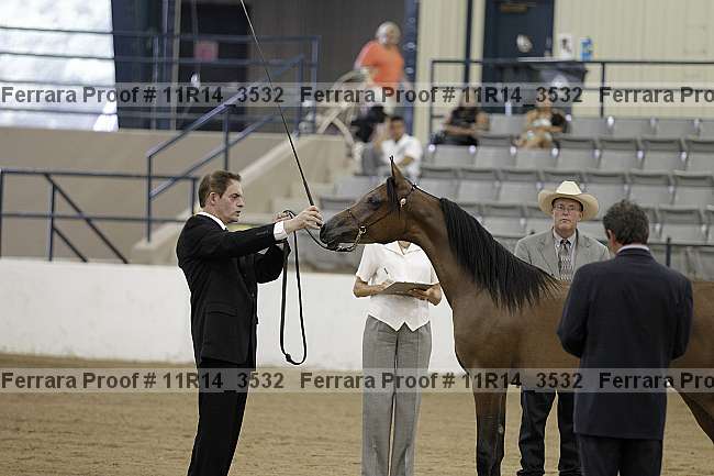 Proof Number 11r14_3532