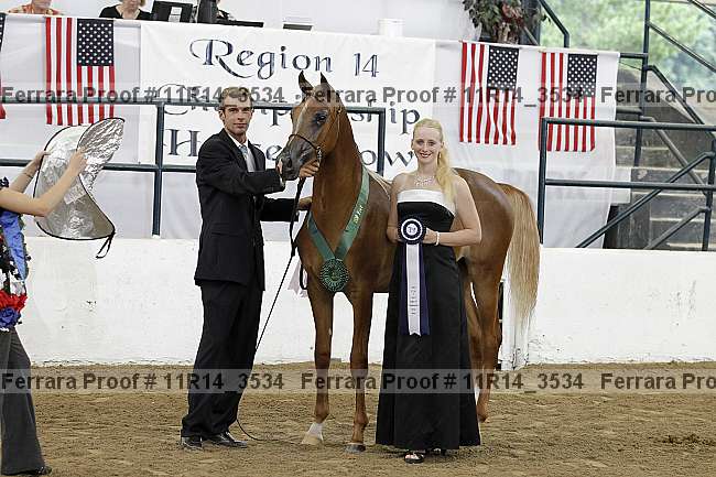 Proof Number 11r14_3534