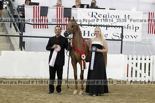 Proof Number 11r14_3539