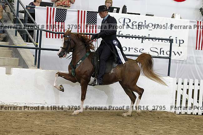 Proof Number 11r14_3795
