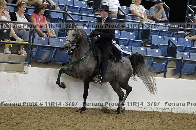 Proof Number 11r14_3797