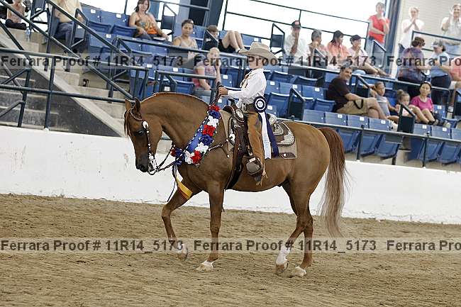 Proof Number 11r14_5173