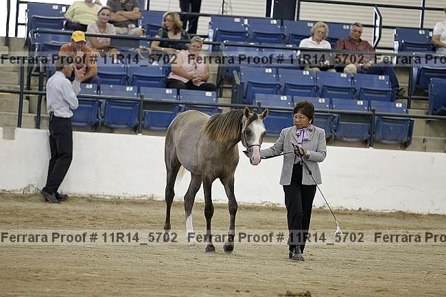 Proof Number 11r14_5702