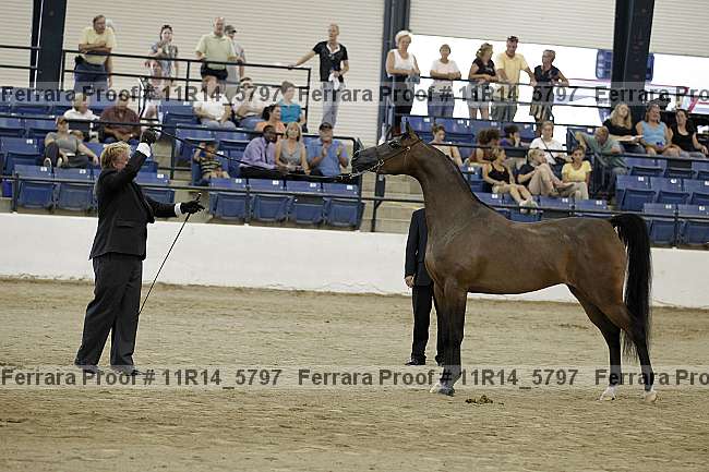 Proof Number 11r14_5797