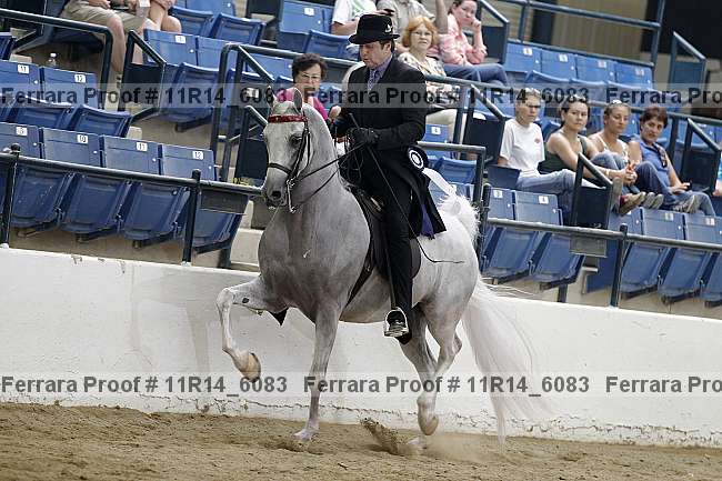 Proof Number 11r14_6083