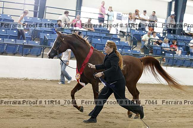 Proof Number 11r14_7044