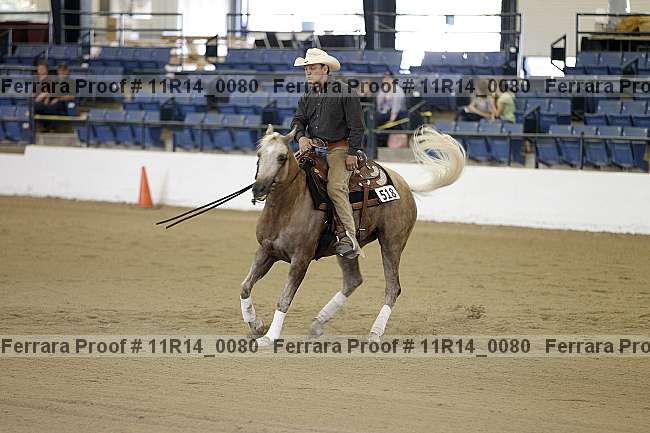 Proof Number 11r14_0080