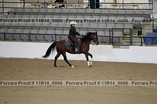 Proof Number 11r14_0096