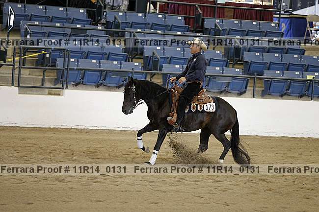 Proof Number 11r14_0131