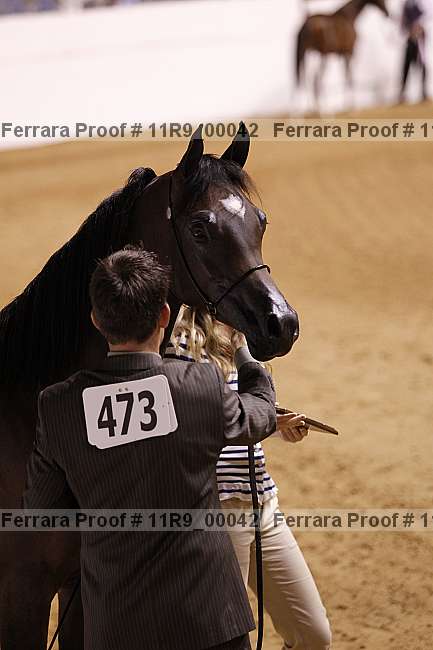 Proof Number 11r9_00042