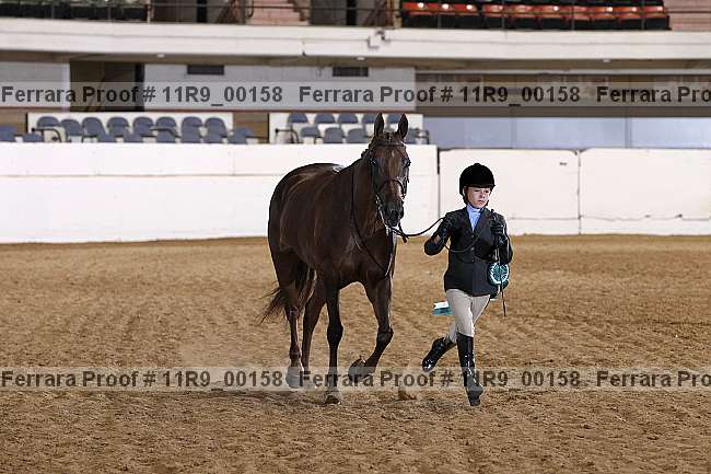 Proof Number 11r9_00158