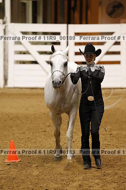 Proof Number 11r9_00189