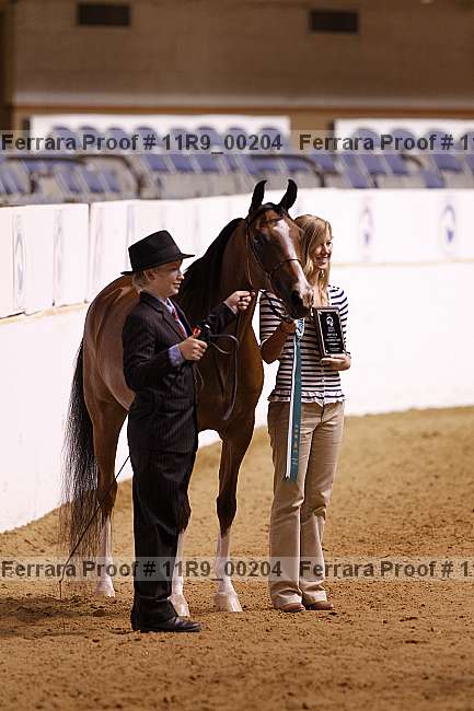 Proof Number 11r9_00204