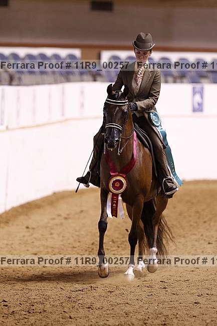 Proof Number 11r9_00257
